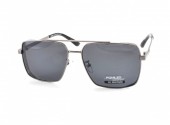 POMILED POLARIZED 08192 C2-31 60-15-137 - - "  ", .   