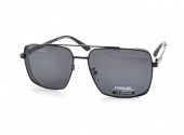 POMILED POLARIZED 08192 C9-31 60-15-137 - - "  ", .   