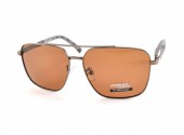 POMILED POLARIZED 08206 C12-32 60-14-137 - - "  ", .   