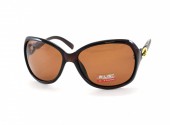 AILISI POLARIZED P2002 C08-32 61-15-125 - - "  ", .   