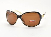 AILISI POLARIZED P2002 C15-32 61-15-125 - - "  ", .   