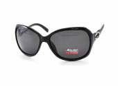 AILISI POLARIZED P2002 C9-08 61-15-125 - - "  ", .   