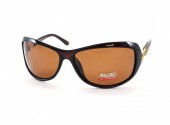 AILISI POLARIZED P2004 C08-32 64-15-130 - - "  ", .   