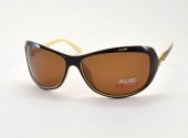 AILISI POLARIZED P2004 C15-32 64-15-130 - - "  ", .   