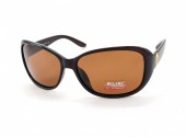 AILISI POLARIZED P2005 C08-32 61-14-123 - - "  ", .   