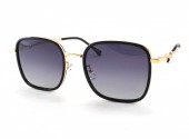 SISSI POLARIZED   2283 C1 53-20-145 - - "  ", .   