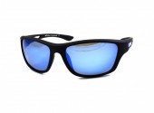 SERIT POLARIZED SP303 6 - - "  ", .   