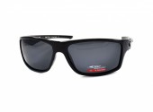 SERIT POLARIZED SP308 1 - - "  ", .   