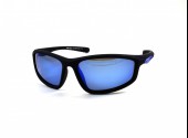 SERIT POLARIZED SP309 6 - - "  ", .   