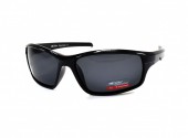 SERIT POLARIZED SP311 1 - - "  ", .   