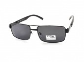 /  PILLAR POLARIZED P6018 C1 60-20-133 - - "  ", .   