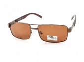 /  PILLAR POLARIZED P6018 C2 60-20-133 - - "  ", .   