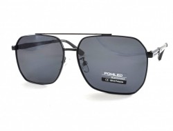 POMILED POLARIZED 08189 C9-31 58-17-140 - - "  ", .   