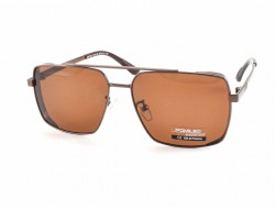 POMILED POLARIZED 08192 C10-32 60-15-137 - - "  ", .   