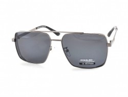 POMILED POLARIZED 08192 C2-31 60-15-137 - - "  ", .   