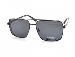 POMILED POLARIZED 08192 C9-31 60-15-137 - - "  ", .   