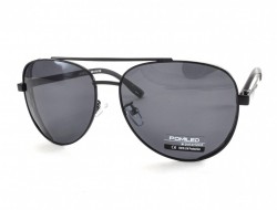 POMILED POLARIZED 08196 C9-31 60-15-139 - - "  ", .   