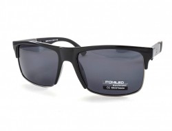 POMILED POLARIZED 08202 C9-31 58-17-140 - - "  ", .   