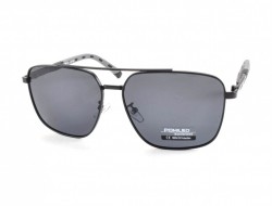 POMILED POLARIZED 08206 C4-08 60-14-137 - - "  ", .   