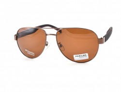 POMILED POLARIZED 08217 C10-32 60-16-141 - - "  ", .   