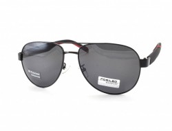 POMILED POLARIZED 08217 C4-08 60-16-141 - - "  ", .   