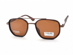 POMILED POLARIZED 08240 C10-32 52-20-140 - - "  ", .   