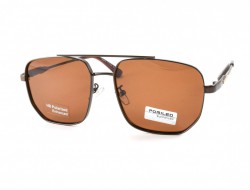 POMILED POLARIZED 08242 C12-32 57-16-134 - - "  ", .   