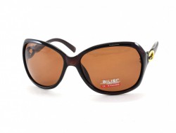 AILISI POLARIZED P2002 C08-32 61-15-125 - - "  ", .   