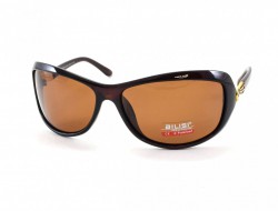 AILISI POLARIZED P2004 C08-32 64-15-130 - - "  ", .   