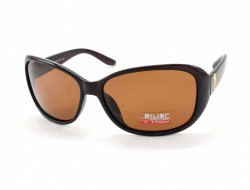 AILISI POLARIZED P2005 C08-32 61-14-123 - - "  ", .   