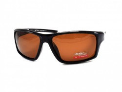 SERIT POLARIZED SP306 2 - - "  ", .   