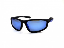 SERIT POLARIZED SP309 6 - - "  ", .   