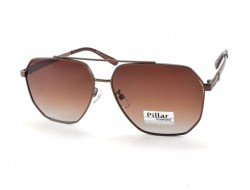 /  PILLAR POLARIZED P6010 C4 58-14-135 - - "  ", .   