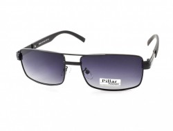 / PILLAR POLARIZED P6018 C4 60-20-133 - - "  ", .   